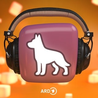 Hund auf lila Würfel der Kopfhörer trägt.